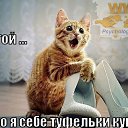 ���� Tosja, ����������, 51 ��� - ��������� 22 ����� 2017 � ������ ������ ��������