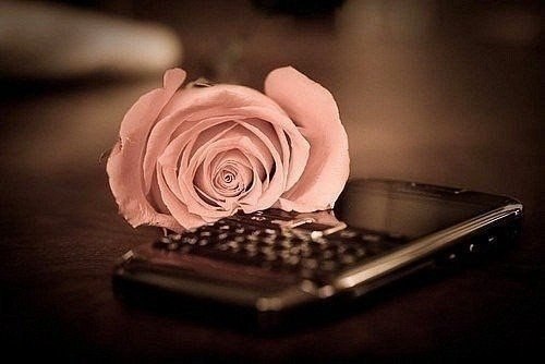 ����� �� ����� ��������, �� ����������� ������� ���� ���� �� �� ���������, �� ������� �� ���� ������ ...