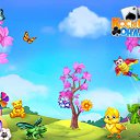 ���� ����, ����������, 46 ��� - ��������� 12 ����� 2017 � ������ �������� �������-�������