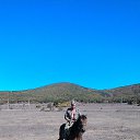 ���� ����, �����������, 64 ���� - ��������� 27 ������ 2017 � ������ ���� ����������