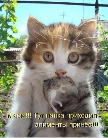  - ,  - 5  2017  05:31