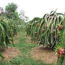 ������� �� ������� ���� ���� ������