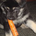 ���� ��������, ������, 48 ��� - ��������� 12 ����� 2017 � ������ ���� ����������