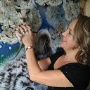 ���� �������, ��������� - ��������� 10 ������� 2016 � ������ ���� ����������