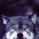 ���� �������, ������, 85 ��� - ��������� 22 ����� 2017