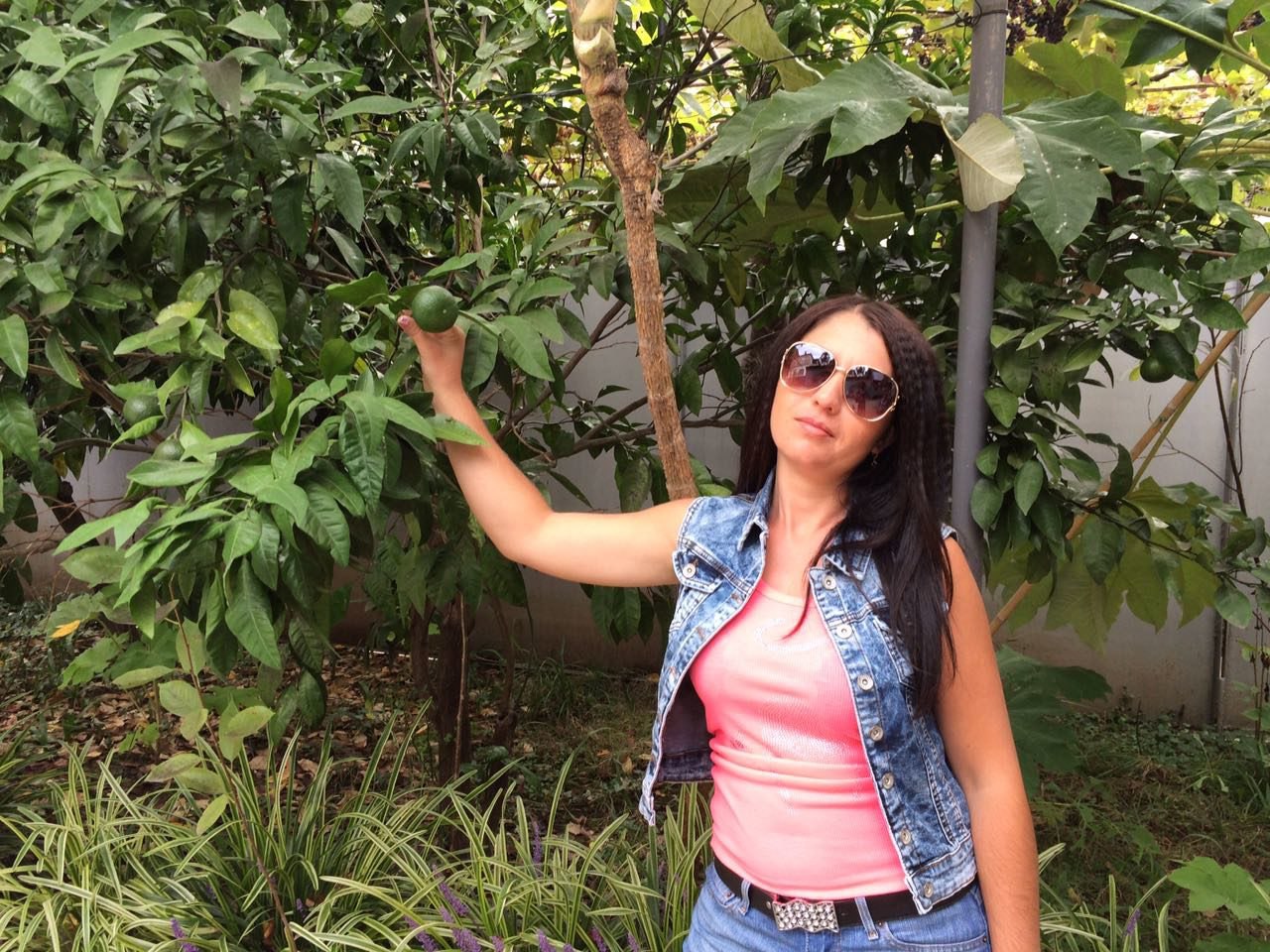 �������� ����� - 26 ������� 2017 � 00:02