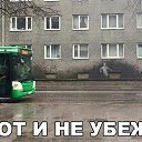 ���� ������� �����������, �����������, 42 ���� - ��������� 20 ������� 2017