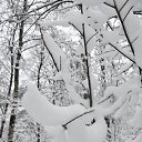 ���� �������, ���������, 52 ���� - ��������� 30 ������ 2016 � ������ ��������!�