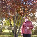 ���� ���������, ������� - ��������� 17 ������� 2016 � ������ ���� ����������