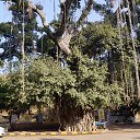  Vladimir,  -  23  2016   .  2016