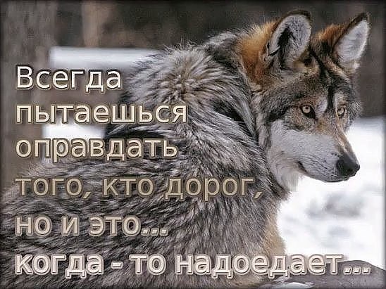 .https://fotostrana.ru/away?to=/sl/kxC2 - 2  2016  15:57