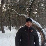 , 43 , 