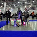 ������������ ��� *���������* 2012, ������ �� ������� ���� �������