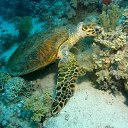 ���� ������, ������ - ��������� 23 ������� 2016 � ������ ����� ��� �������