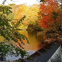 ���� ���������, ������, 69 ��� - ��������� 21 �������� 2016 � ������ �������