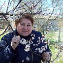 ���� Aleksandr, ��������� - ��������� 2 ������ 2017 � ������ ����� 29 - 31. 2017 �.�