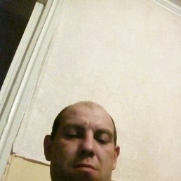 �����, ���������, 44 ����