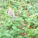 ���� ������, ��������, 50 ��� - ��������� 11 ������� 2017 � ������ ���� ����������