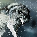 ���� ������, ����, 28 ��� - ��������� 2 ������ 2017