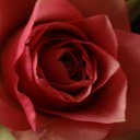 ���� �������, ������ - ��������� 11 ������� 2016 � ������ ������ ��������