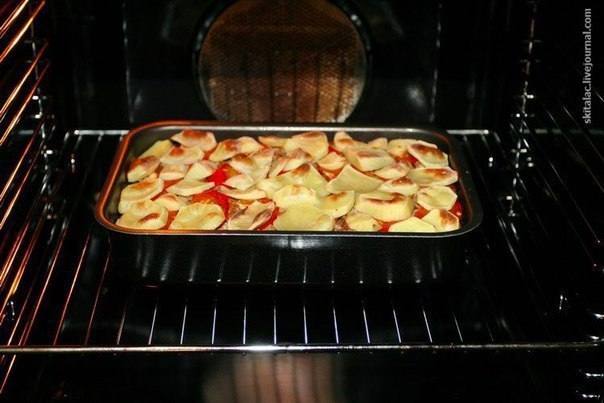 �������� ������.�����������:���� (� ������ ����� �������� + �������� + �������) - ����� 700 �����10 ... - 8