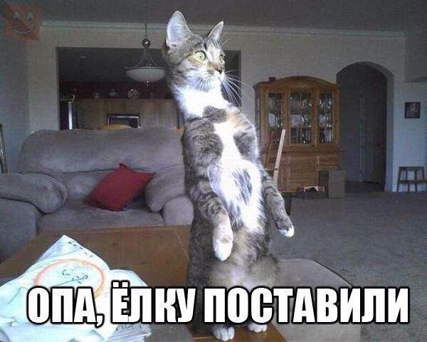 Слишком сильная, чтобы плакать.© - 19 декабря 2016 в 08:07