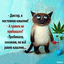 ���� �������, ��������� - ��������� 22 ����� 2017 � ������ ���� ����������
