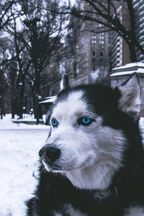  ! - 2