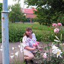 ���� �����, ��������� - ��������� 5 ����� 2017 � ������ ���� ����������