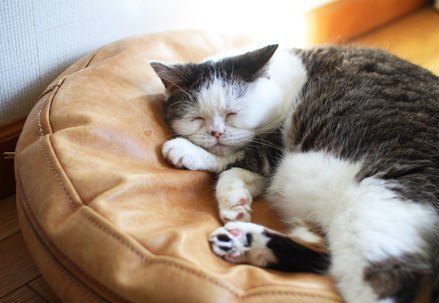 ���������� �� ������ - 4