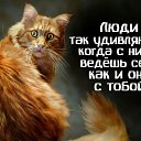 ���� �����, ���������, 36 ��� - ��������� 1 ����� 2017 � ������ ��!!!!�