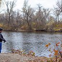 ���� ��������, ��������� - ��������� 8 ������ 2016 � ������ ������ ��������