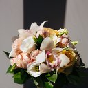 ���� ����..., ���� - ��������� 18 ����� 2017