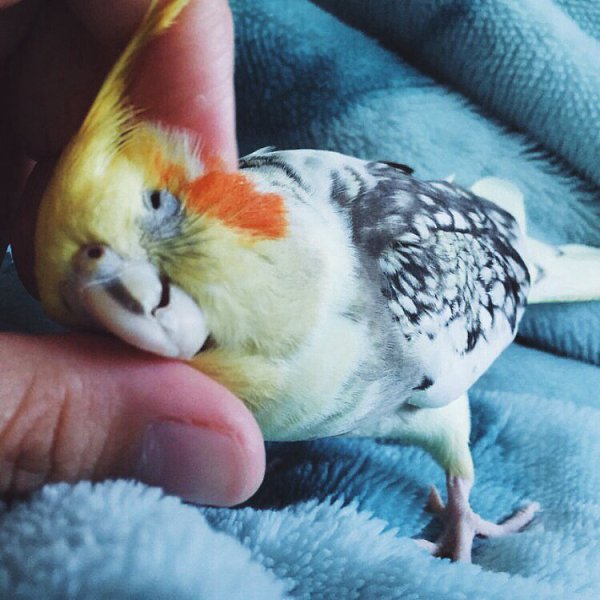   - 7  2016  10:23 - 5