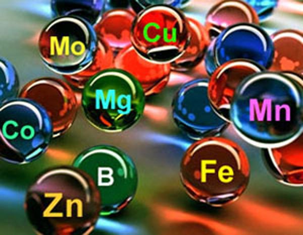 ����������� ��������.���������������� ������� �����, ������ �� ������������ ������� ����� � ...