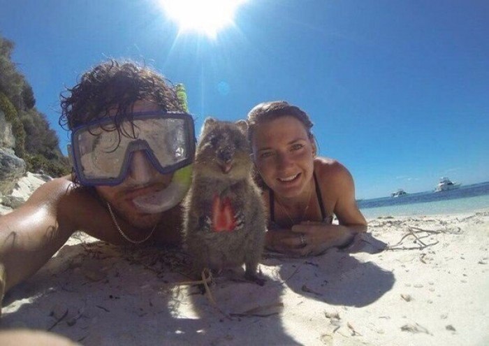 ��������� ������