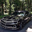 ���� ����, ������, 34 ���� - ��������� 5 ������� 2017 � ������ ������ ��������