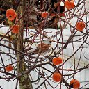 21.02.2017 �� ������� ������� ��������)))�