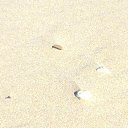 ���� ���������, ����-���������, 69 ��� - ��������� 8 ������� 2016 � ������ ���� ����������