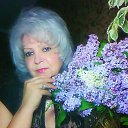 ���� *����*, ��������� - ��������� 25 ������� 2017 � ������ ���� ����������