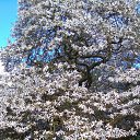 ���� Lana, ������, 54 ���� - ��������� 1 ������ 2017 � ������ �Timeline Photos�