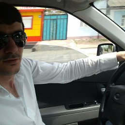 �����, ������, 41 ���