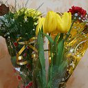 ���� E��������, ������, 43 ���� - ��������� 23 ������� 2016 � ������ ���� ����������