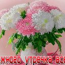 ���� ������, ������-��-����, 65 ��� - ��������� 26 ������ 2016 � ������ ���� ���������