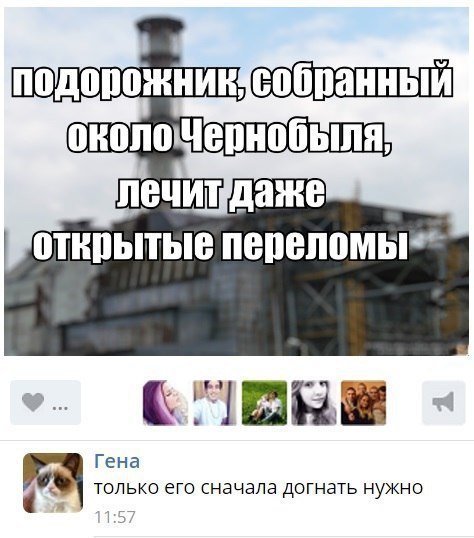     - 28  2017  13:22