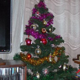 ������, �������, 37 ���