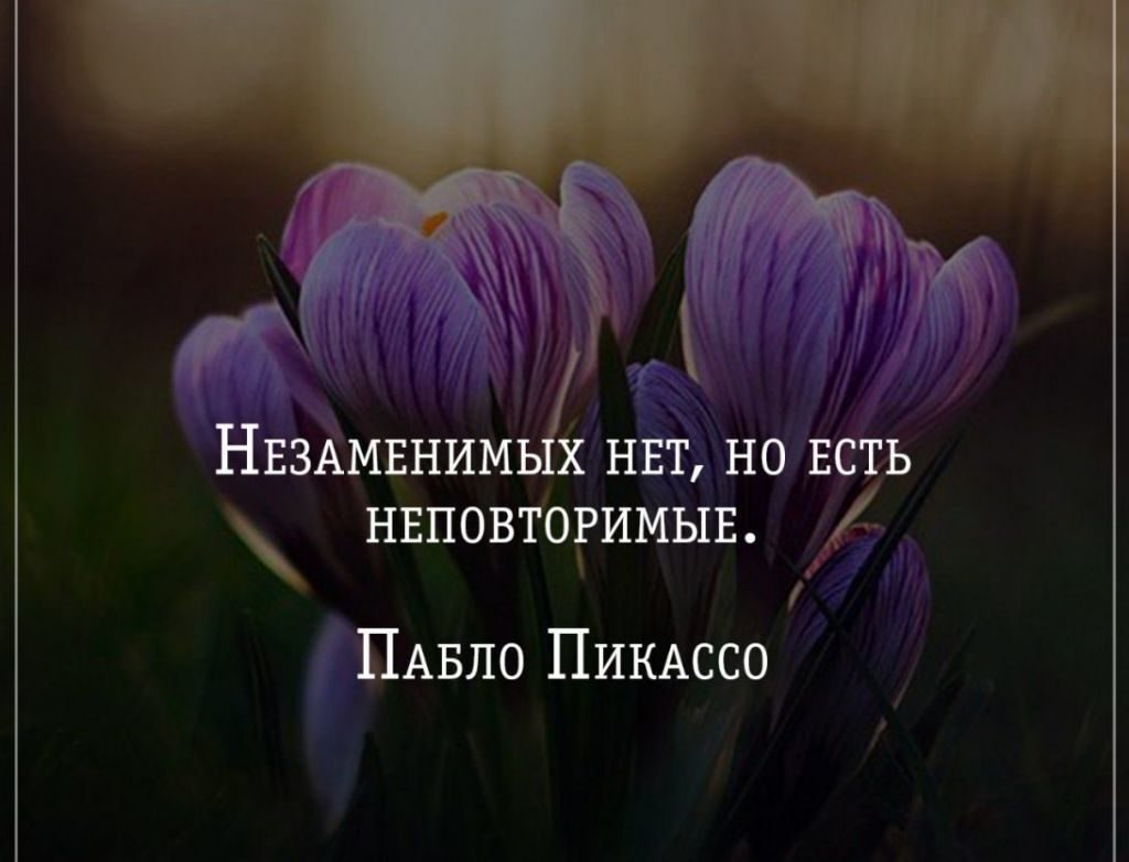 .https://fotostrana.ru/away?to=/sl/kxC2 - 11  2016  12:02