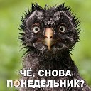  ,  -  27  2017