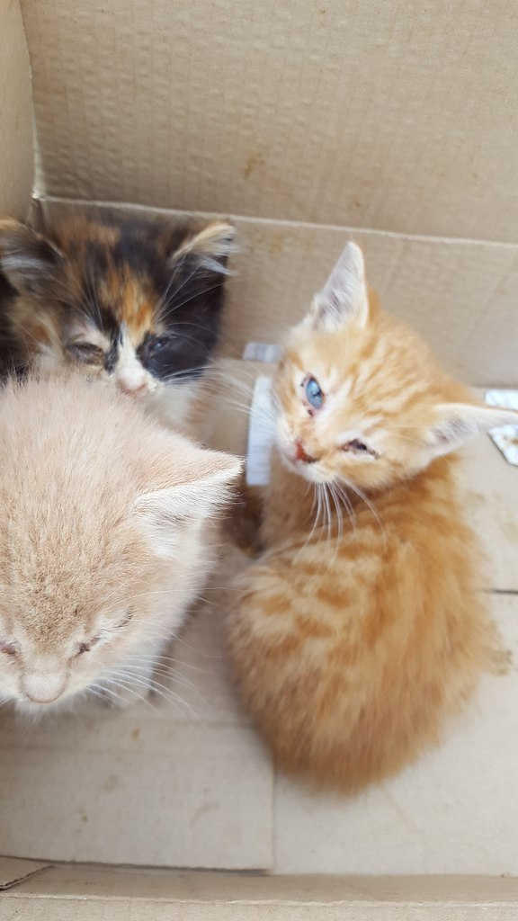 #_.   3  .    2    . . ...