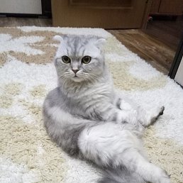 ���� �������, ������, 50 ��� - ��������� 20 ������� 2017